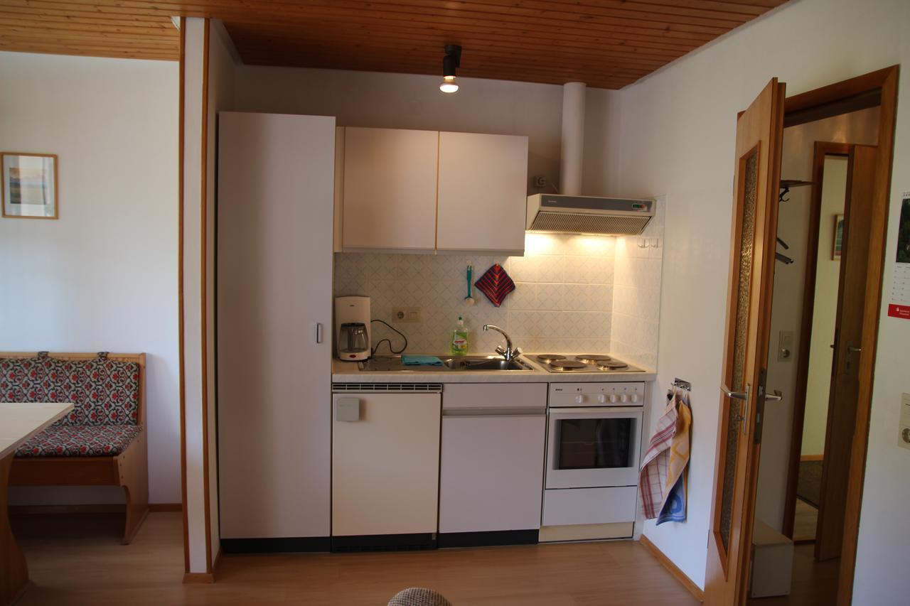 Steiert Panorama Apartments Todtnau Εξωτερικό φωτογραφία