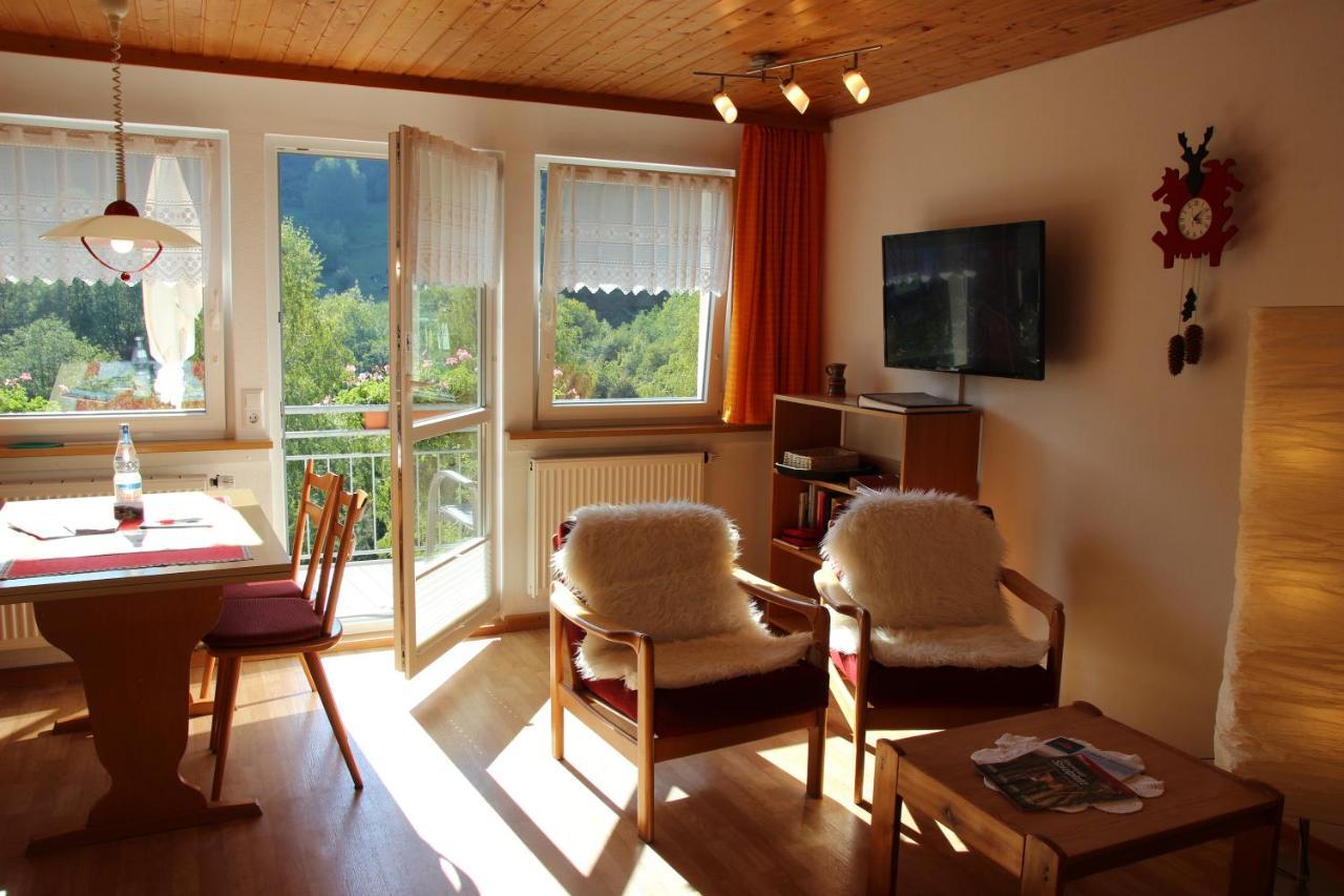 Steiert Panorama Apartments Todtnau Εξωτερικό φωτογραφία